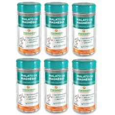 Kit 6 x malato de magnésio 60 caps 500mg meissen