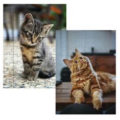 Kit 2 Quebra-Cabeças Cognitivos Gatos 60 Peças