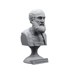 Escultura Busto Hipócrates Médico Grego Pai Da Medicina