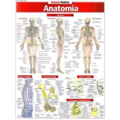 Resumao Medicina  - Anatomia