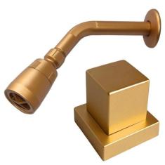 Ducha Fria Piscina + Acabamento Volante ABS Base Deca Dourado - Montel