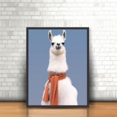 Quadro Moldura Animais Lhama Cachecol Camelídeo Manto Llama