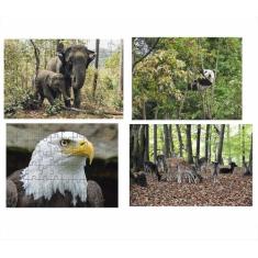 Kit 4 Quebra-Cabeças Atividades Animais Da Floresta 60 Peças - Coleção