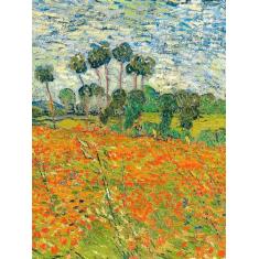 Livro - Biologia Vegetal