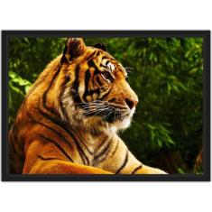 Quadro Decorativo Animais Tigre Decoração Com Moldura - Vital Quadros