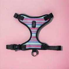 Coleira Peitoral Ajustável para Pets Raios e Listras - M