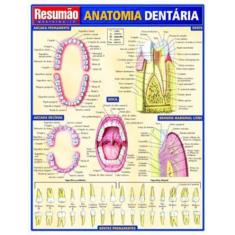 Livro –  Resumao - Anatomia Dentaria
