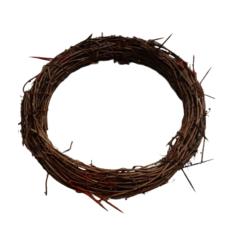 Coroa de Espinhos Fantasia Adulto Jesus Cristo Teatro Sexta Feira Santa Cosplay Adereço Festa Halloween