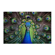 Quebra-Cabeça Majestoso Pavão 300 peças