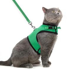 PUPTECK Conjunto de coleira e coleira de malha macia para gatos, acolchoados, à prova de fuga, para gatos, cães pequenos, coelhinhos