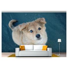 Papel De Parede Animais Cachorro Sentado 3D Anm170 - Você Decora