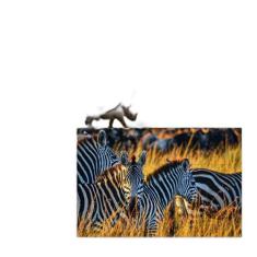 Kit 2 Quebra-Cabeças Animais Da Savana Africana 24 Peças - Coleção Tea