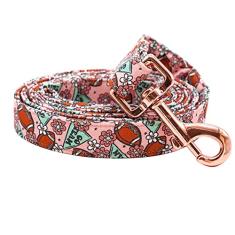 Rainbow Coleira para cães, coleira para cães de primavera forte, durável e resistente, confortável e acolchoada para cães pequenos, médios e grandes