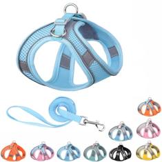 Lindo conjunto de coleira e coleira para cachorrinhos, com pingente antiperda, colete refletivo, sem puxão, malha fina e respirável para animais de estimação, para cães de raça pequena e média, fêmeas