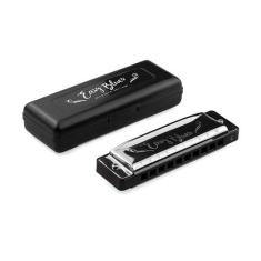 Gaita De Boca Harmônica Diatônica Hering Easy Blues 4420c