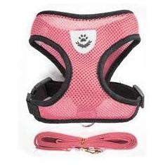 Coleira Colete Pet Peitoral Respirável Com Guia Ajustável Para Cães E 