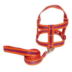 Guia com peitoral 25mm vermelho quadriculado 4 46 cm a 51 cm - Nica pe