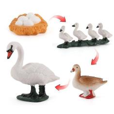 Brinquedos de sopro de bolhas 4pcs frango pato e ganso ciclo de crescimento conjunto de exploração científica modelo animal de aves em miniatura