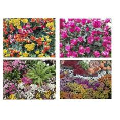 Kit 4 Quebra-Cabeças Cognitivos Primavera Viva 60 Peças - Coleção Tea