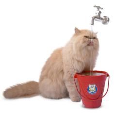 Bebedouro fonte para Gatos Vermelho Bivolt MagiCat CatMyPet, Fonte de 