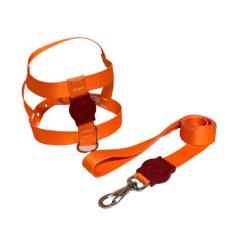 Coleira Peitoral Neon Para Cães Tradicional 25Mm Laranja Nº4