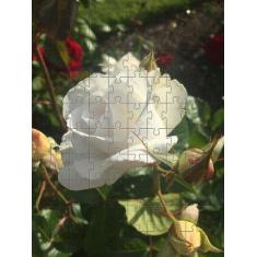 Quebra-Cabeça Cognitivo Reabilitação para Idosos - Rosas - Reidopendri