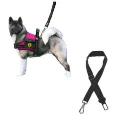 Coleira Para Cachorro Grande Com Cinto De Segurança Pet Peitoral Para 