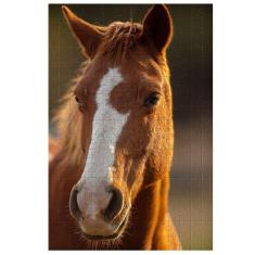 Quebra-Cabeça Cognitivo Belo Cavalo 300 peças