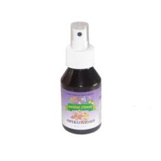 Floral Hiperatividade 100ml spray- Animal Flower