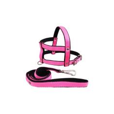 Guia E Peitoral Nylon Duplo P/cães Cachorro - Nº 9 - FLOP, Rosa