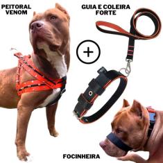 Super Kit Coleira Peitoral Guia Pitbull Com Focinheira  - Dogvix, P