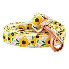 Rainbow Coleira para cães, coleira para cães de primavera forte, durável e resistente, confortável e acolchoada para cães pequenos, médios e grandes