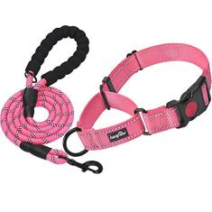 haapaw 2 coleiras refletivas para cães martingale com fivela de liberação rápida para cães pequenos, médios e grandes