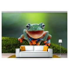 Papel De Parede Animais Sapo Verde E Laranja Anm243 - Você Decora