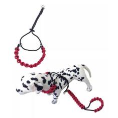 Coleira Belga Em Corda 6mm (estilo Prong Collar)+ Guia - P.H Pet, Pret