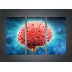 Quadro Decorativo Medicina Cérebro Consultórios Médicos Com 3 peças Co