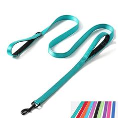 Coleira refletiva de nylon resistente, duas alças acolchoadas para controle extra, guia de treinamento durável para cães de estimação de raças pequenas, médias e grandes, 1,5 m de comprimento, 2,5 cm