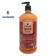 Kit 6 Sabonete Líquido Perfumado Cheiroso 1 Litro Hidratante PH Antial