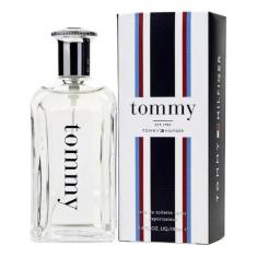 Perfume Masculino Tomy Hilfiger Eau De Toilette 100ml