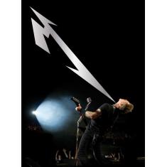 metallica Quebec Magnetic dvd