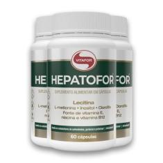 Kit 3 Hepatofor Vitafor 60 Cápsulas