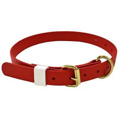 J&J Dog Supplies Coleira para cães Boithane 2,5 cm de largura e ajustável de 35,5 cm a 61 cm, vermelha