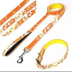 COLEIRA PESCOÇO E GUIA EMBORRACHADA 2D - PETS - AMO - LARANJA