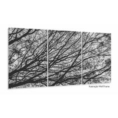 Quadro Galhos Secos Caindo em Preto e Branco Jogo 3 Peças