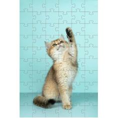 Kit 2 Quebra-cabeças Cognitivos Gatinhos de 24 peças - Coleção TEA