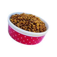 Tigela Porcelana Comedouro Bebedouro Pequeno Cachorro Gatos - Ô Bichim