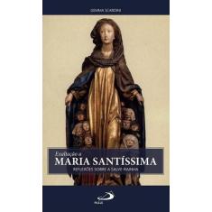 Exaltacao A Maria Santissima - Reflexoes Sobre A Salve Rainha - Paulus
