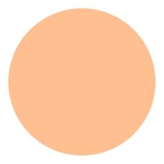 Shiseido UV Protective Compact Foundation Light Ochre - Protetor Solar Facial Compacto FPS 35 Refil 12g