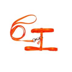 Coleira Peitoral Seda Neon Com Pingente Para Gatos - Laranja