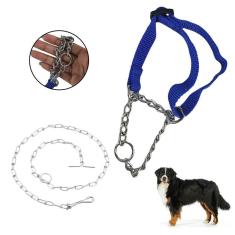 Coleira Guia Kit Corrente Aço Semi Enforcadora Adestramento Passeio Pet Caes Cachorro Treinamento